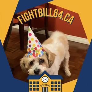 Meet your Posher, Jody